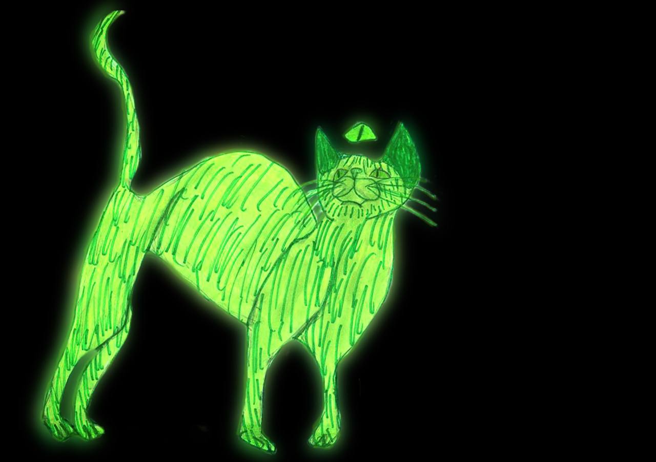 Премьера. Зелёная кошка