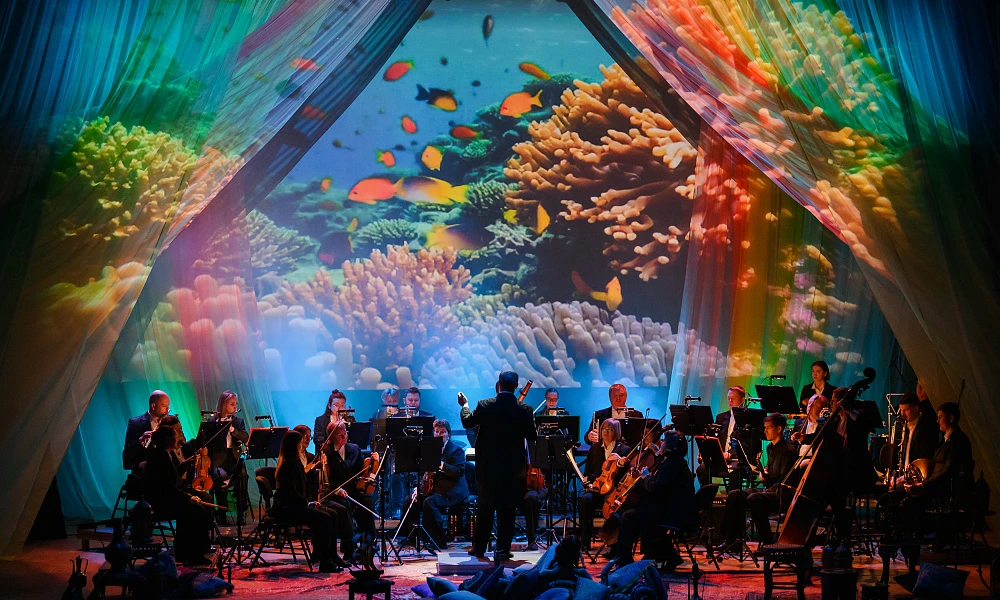 Фотограф Никита Чунтомов