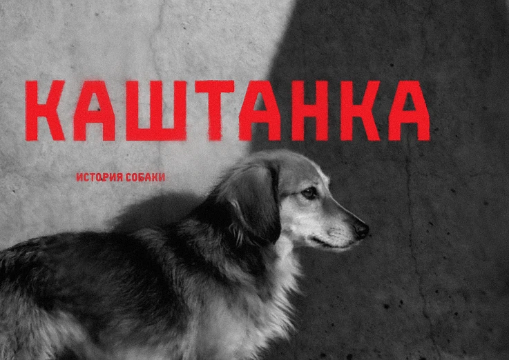 Премьера. Каштанка. История собаки