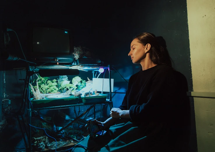 Монофест. DYIMOVOCHKA TRIP